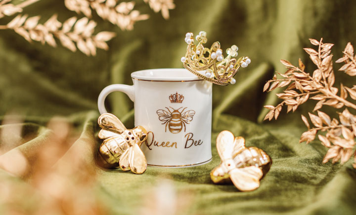 Gifts for animal lovers