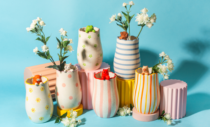 SURPRISE CERAMICS