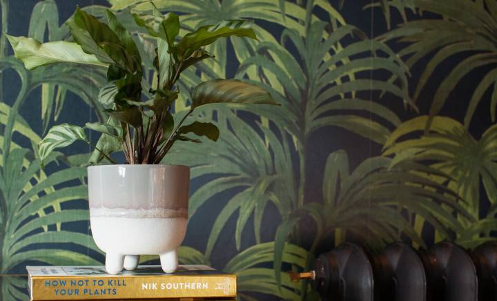 Planters & Vases Sale