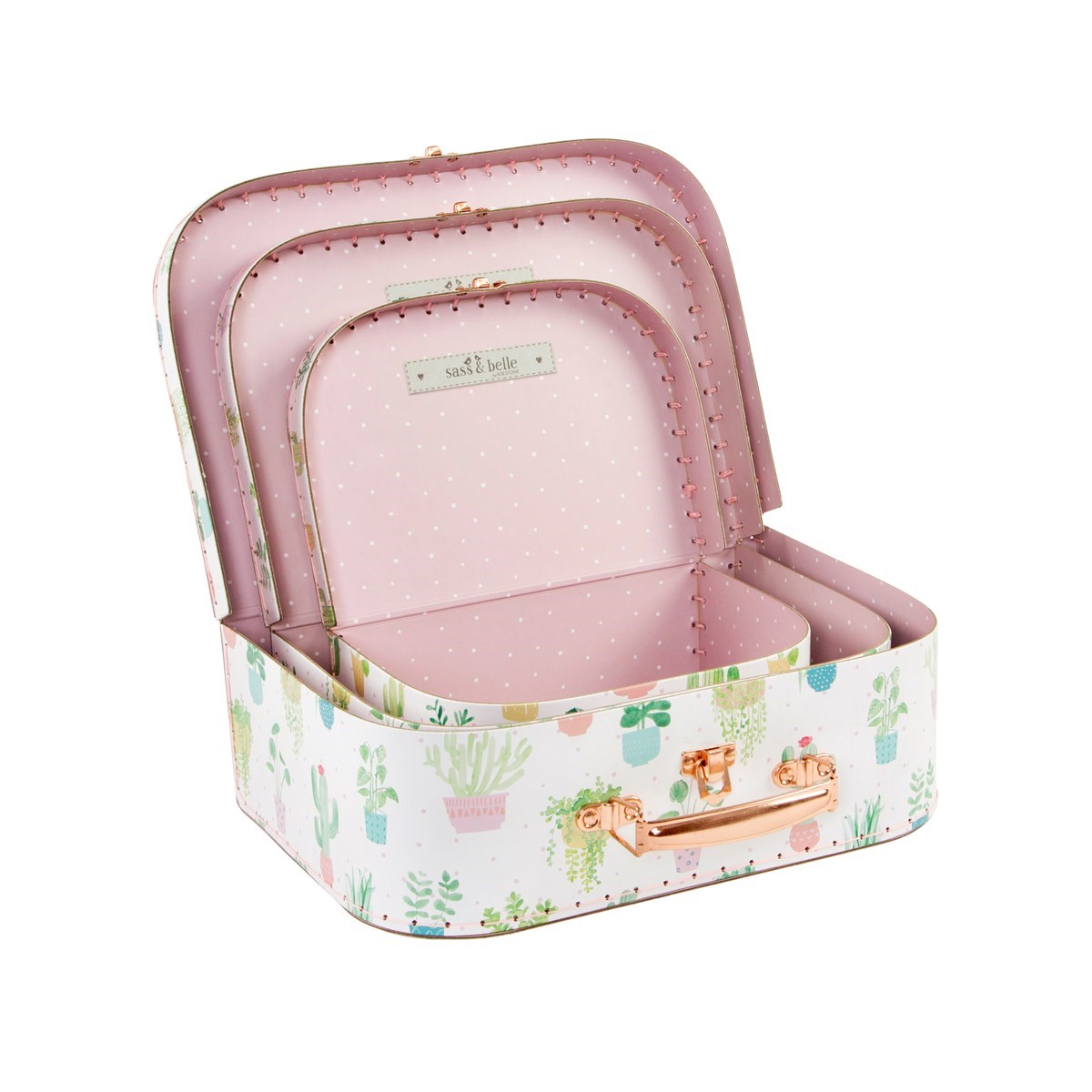 set of 3 pastel cactus suitcases large christmas cactus for sale