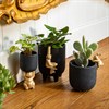 Golden Rabbit Planter
