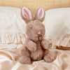 Bobbi Bunny Toy