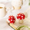 Red Mushroom Salt & Pepper Shakers
