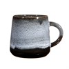 Mojave Midnight Mug