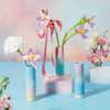 Pastel Ombre Bud Vase - Assorted