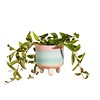 Pastel Ombre Leggy Planter Small