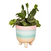 Pastel Ombre Leggy Planter Large