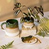 Mojave Frog Trinket Dish