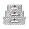 Nordic Star Suitcases Grey - Set of 3