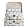Louie Lamb Suitcases - Set of 3