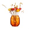 Dark Amber Face Vase