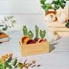 Vegetable Measuring Spoons