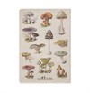 Vintage Mushrooms A5 Notebook