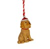 Resin Cockapoo Hanging Decoration - Assorted