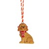 Resin Cockapoo Hanging Decoration - Assorted