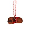 Resin Cockapoo Hanging Decoration - Assorted
