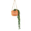 Cat's Whiskers Terracotta Hanging Planter
