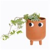 Leggy Terracotta Planter