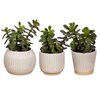Grooved Off-White Small Planters - Assorted