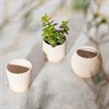 Grooved Off-White Small Planters - Assorted