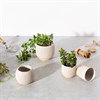 Grooved Off-White Small Planters - Assorted