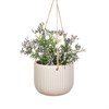 Grooved Hanging Planter Off White