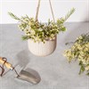 Grooved Hanging Planter Off White