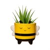 Mini Bee Planter on Legs