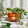 Highland Cow Mini Planter on Legs