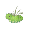 Caterpillar Mini Planter