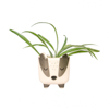 Badger Mini Planter on Legs