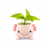 Axolotl Planter
