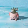 Axolotl Planter