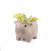 Hippo Planter