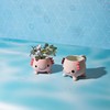Axolotl Planter