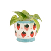 Strawberry Fruit Mini Planter