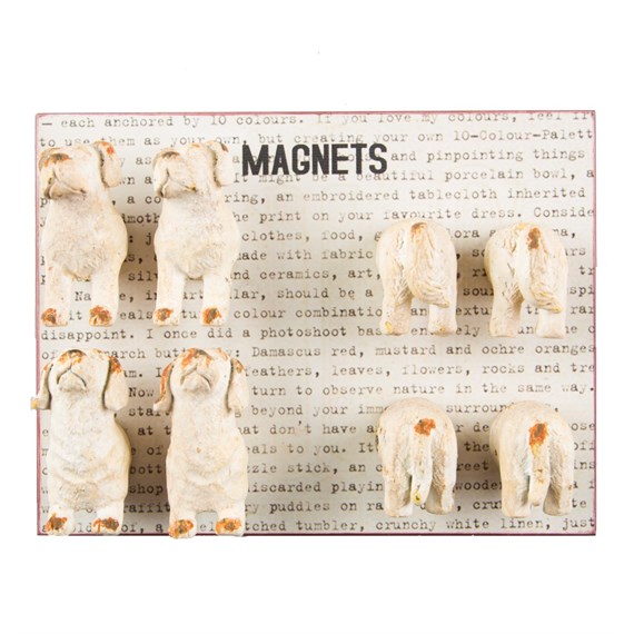 Cream Boudoir Dog Magnets - Set of 8Pcs
