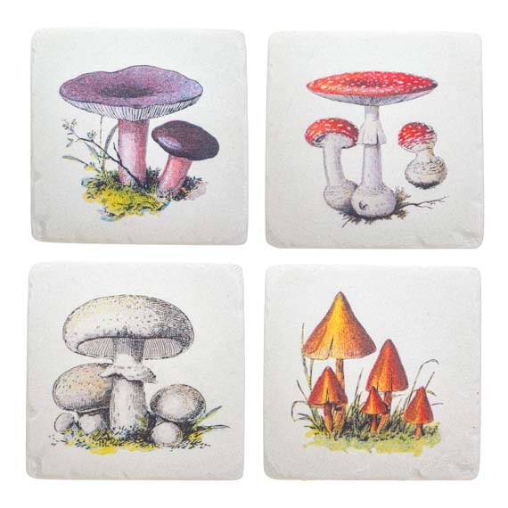 Vintage Mushroom Coasters - Set of 4