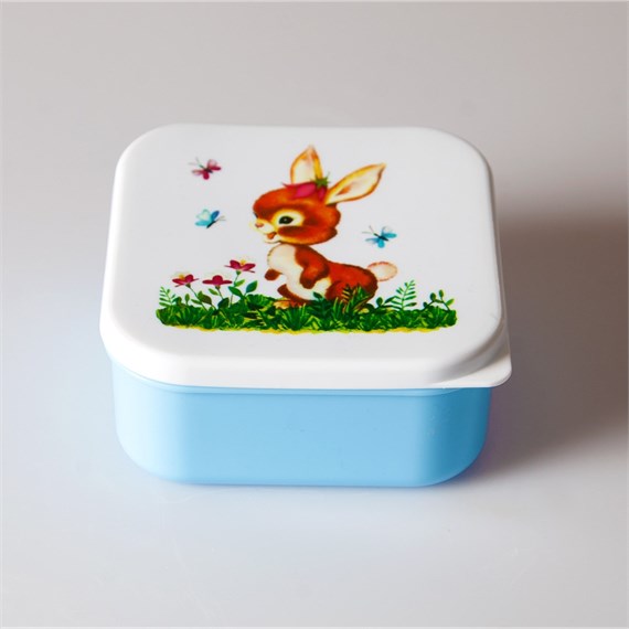 Square Friendly Woodland Creatures  Box-Assorted