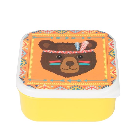 Bear Animal Adventure Square Lunch Box