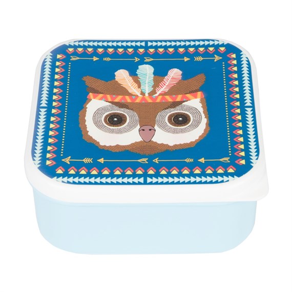 Square Owl Animal Adventure Square Lunch Box