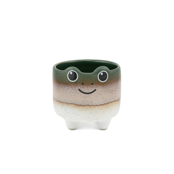 Mojave Frog Planter