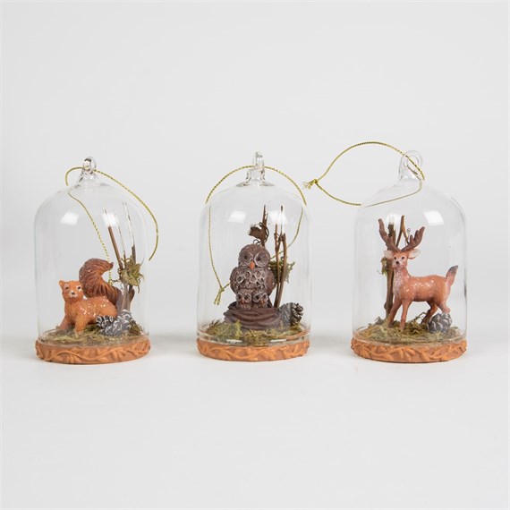 Squirrel Owl Deer Forest Glass Dome Decoration Assorted