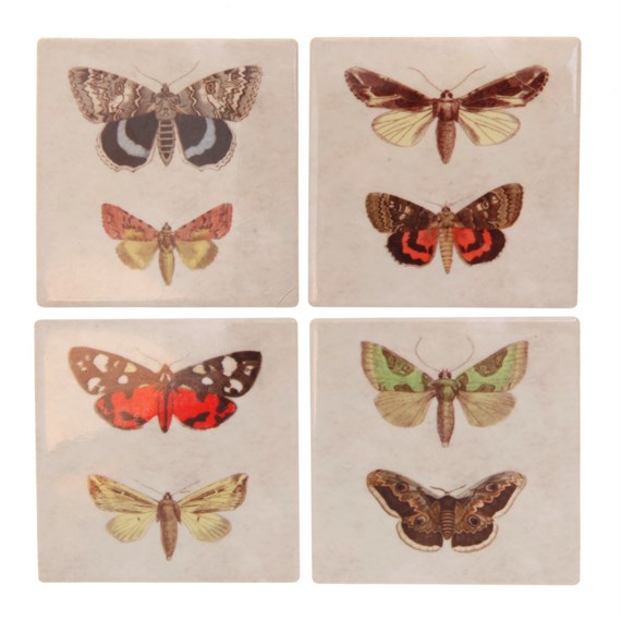 Set of 4 Ceramic Butterfly Coasters