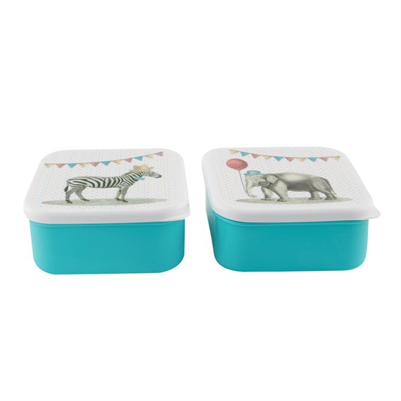 Party Animals Square Lunch Box Assorted