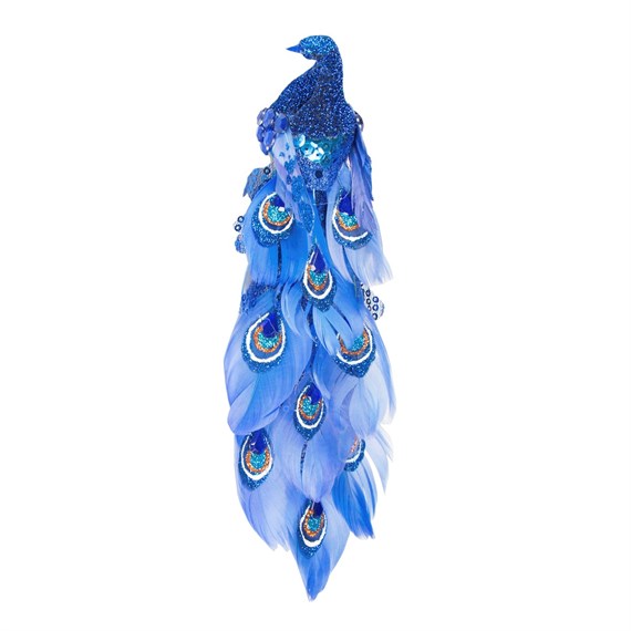 Vibrant Blue Peacock Clip