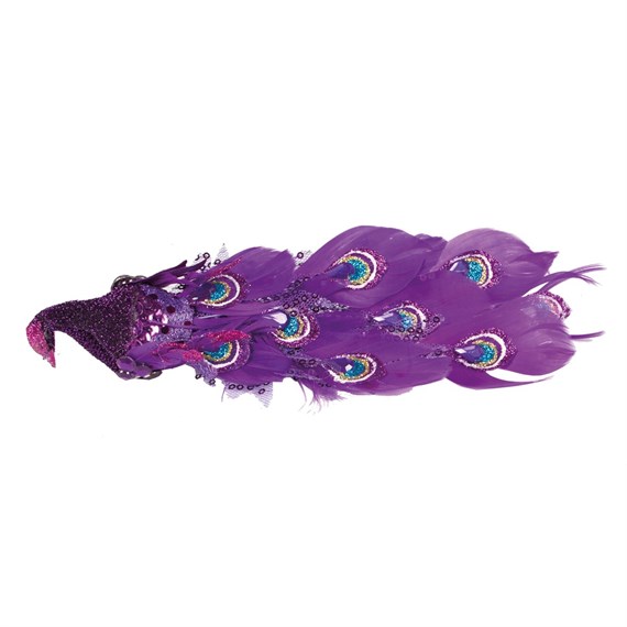 Vibrant Purple Peacock Clip