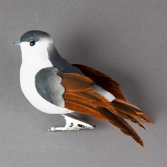 Grey Bird with Brown Wings Bird Clip