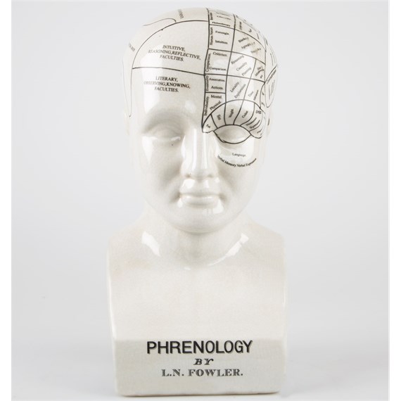 Phrenology Bust Large