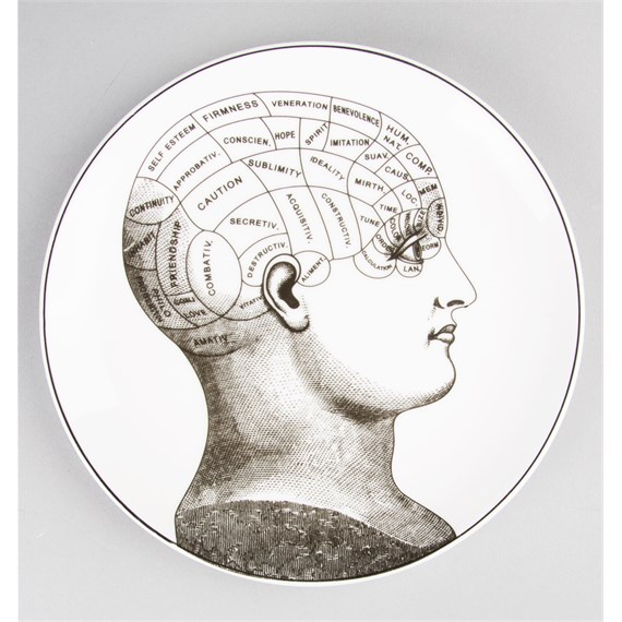 Phrenology Head Decorative Plate